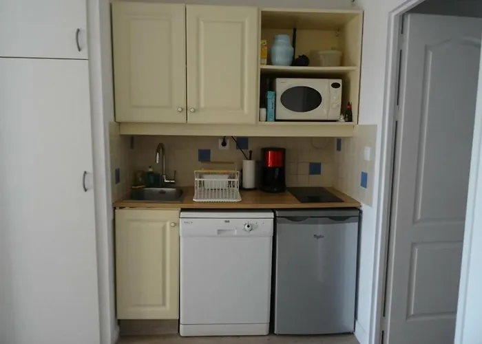 Renove Avec Loggia, Wifi Et Parking Prive A Port - Fr-1-335-131 Lejlighed *