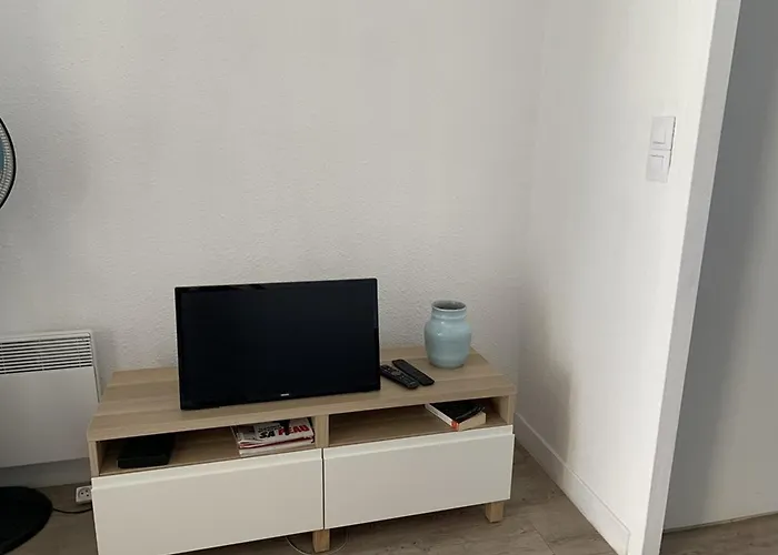 Renove Avec Loggia, Wifi Et Parking Prive A Port - Fr-1-335-131 * Hyères